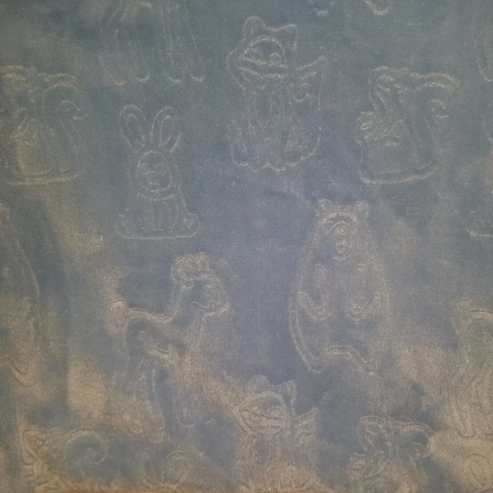 Baby Thro Blue Embossed Blanket Forest Animals Bear Deer Raccoon Rabbit